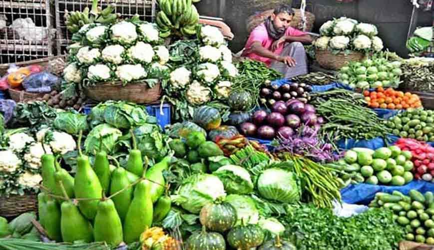 শায়েস্তাগঞ্জে-শীতের-আগাম-সবজি