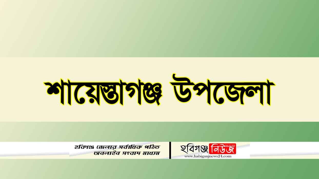 শায়েস্তাগঞ্জ ঐতিহ্যবাহী দাউদনগর বাজার ব্যকস সাধারণ সভার সিদ্ধান্তে আগামী ২৪ জুন আহবায়ক কমিটি গঠন
