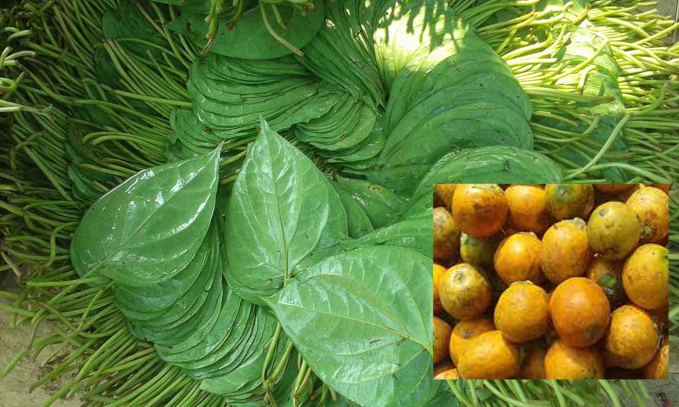 হবিগঞ্জে কাঁচা সুপারি দিয়ে পান খেয়ে মৃত্যু