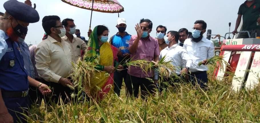 আজমিরিগঞ্জে বোরো ধান কর্তন  ও ভূমিহীনদের গৃহ নির্মাণ  কার্যক্রম পরিদর্শন করলেন জেলা প্রশাসক