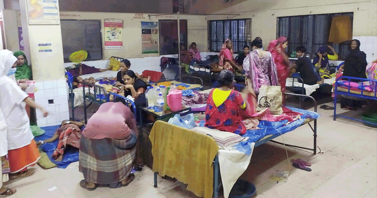 হবিগঞ্জে ভ্যাপসা গরমে দেখা দিয়েছে রোগ বালাই