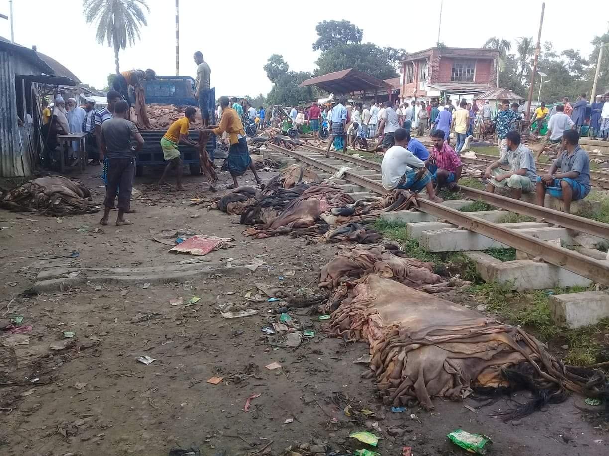 মাধবপুরে কুরবানীর পশুর চামড়ার অরাজক অবস্থা বিক্রয় হচ্ছে পঞ্চাশ থেকে দেড়শ টাকায়