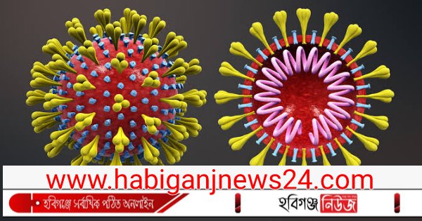 বানিয়াচংয়ে ১দিনে ১০জনের মৃত্যু; উদ্বিগ্ন মানুষ