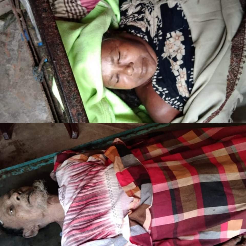 বিষাক্ত ভিমরুলের কামড়ে দম্পতির মৃত্যু