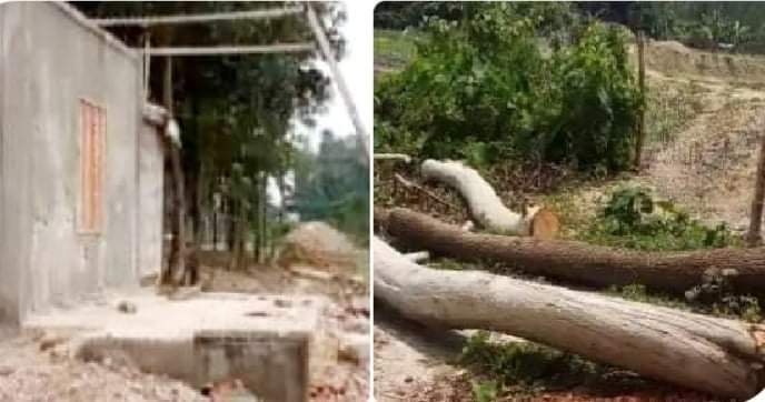 ভরপুর্নী  মাদ্রাসার গাছ কাটা ও ঘর ভাংচুরের অভিযোগে ইউএনও ঘটনাস্থল পরিদর্শন