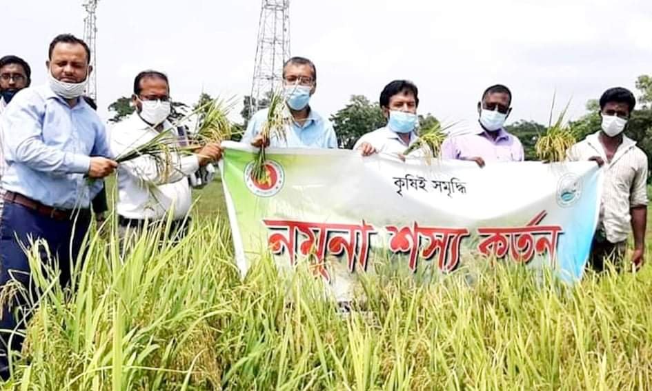 মাধবপুরে কৃষি বিভাগের মাঠ দিবস ও পার্চিং উৎসব