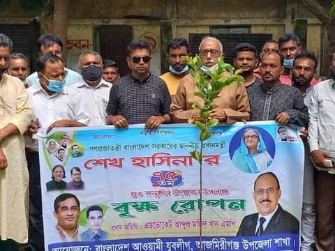 আজমিরীগঞ্জে প্রধানমন্ত্রীর জন্মবার্ষিকী উপলক্ষে বৃক্ষ রোপন কর্মসূচি পালন