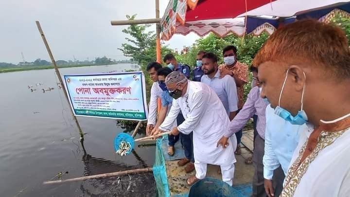 বানিয়াচংয়ে মাছের পোনা অবমুক্ত করলেন-এমপি মজিদ খান