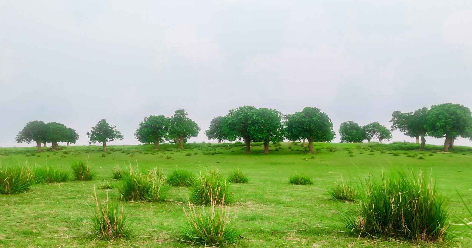 স্থানটির নাম বাগারিয়া